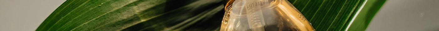 The History of Perfumes: From Ancient Egypt to Modern Day