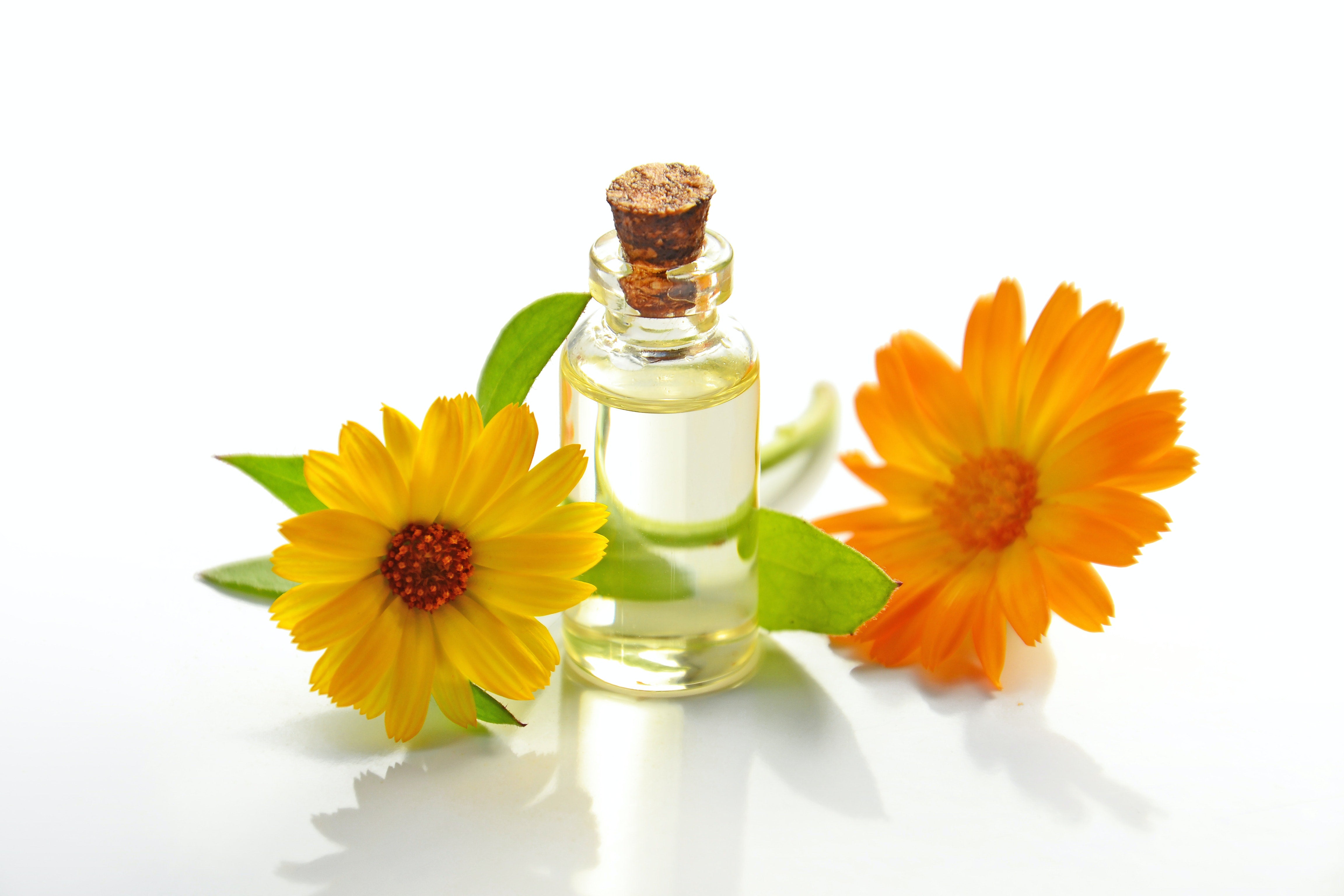 Fragrance Families And Notes: Understanding The Basics