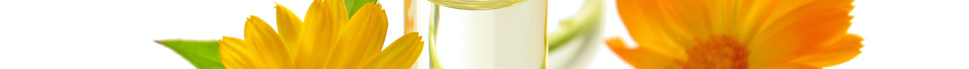 Fragrance Families And Notes: Understanding The Basics