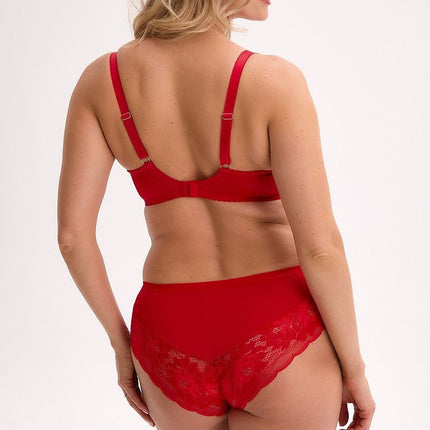  Semi-soft model 221776 Gaia 