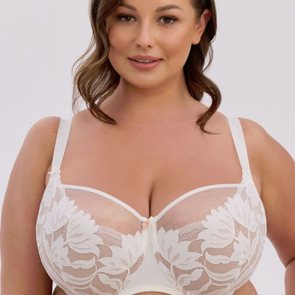  Semi-soft model 224697 Gaia 