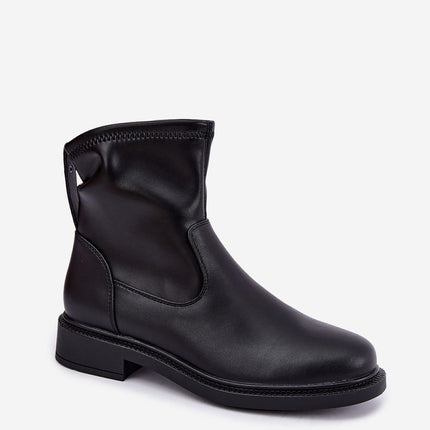  Boots model 231803 Step in style 